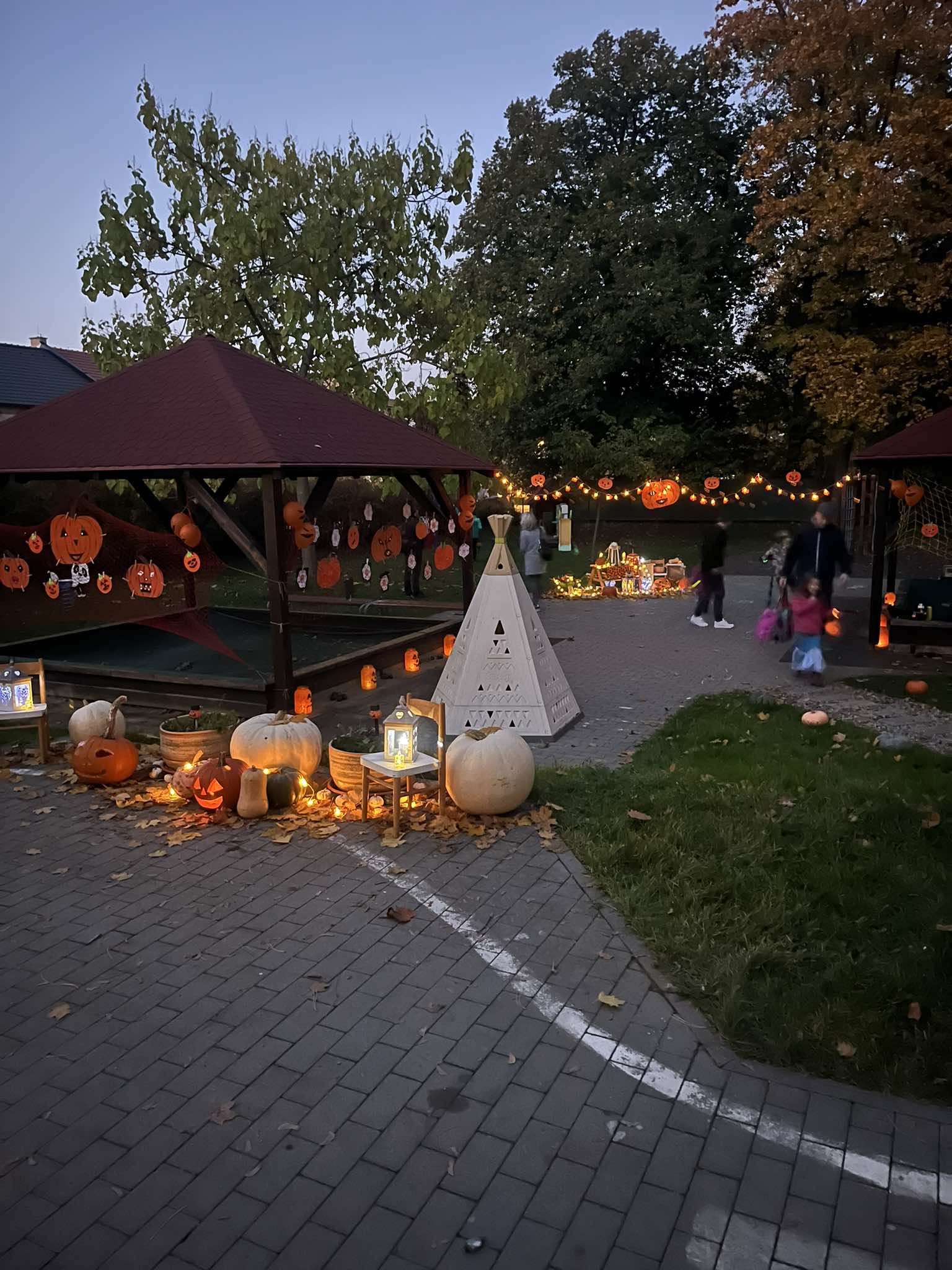 462549227_1519019918738005_4312305582783539965_n